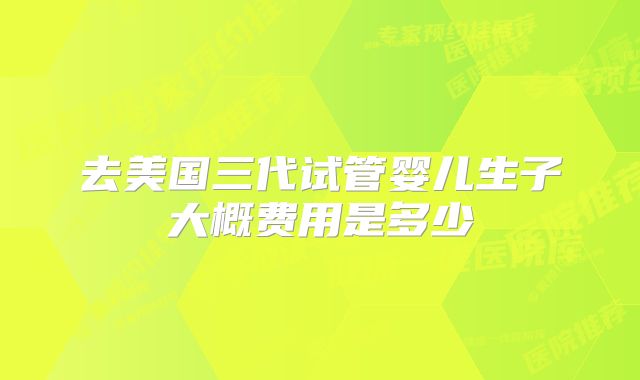 去美国三代试管婴儿生子大概费用是多少