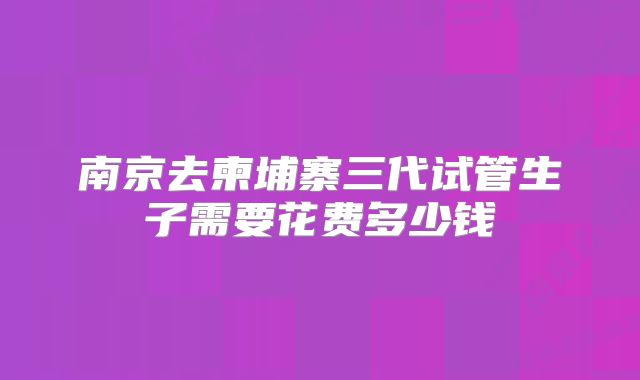 南京去柬埔寨三代试管生子需要花费多少钱