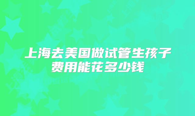 上海去美国做试管生孩子费用能花多少钱