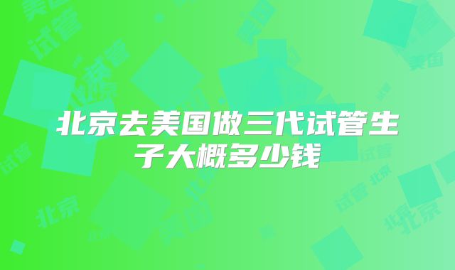 北京去美国做三代试管生子大概多少钱