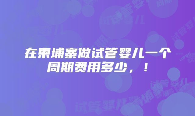 在柬埔寨做试管婴儿一个周期费用多少，！