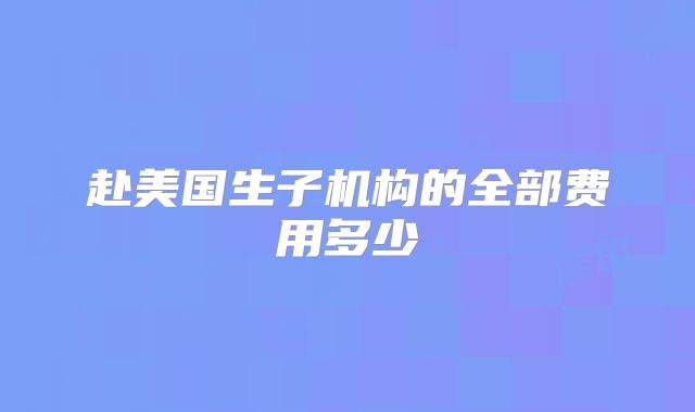 赴美国生子机构的全部费用多少