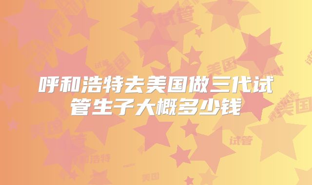 呼和浩特去美国做三代试管生子大概多少钱