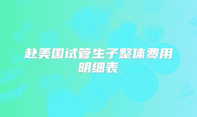 赴美国试管生子整体费用明细表