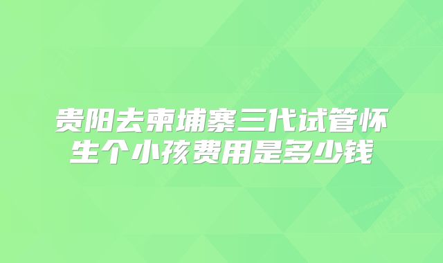 贵阳去柬埔寨三代试管怀生个小孩费用是多少钱