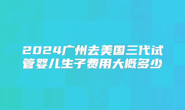 2024广州去美国三代试管婴儿生子费用大概多少