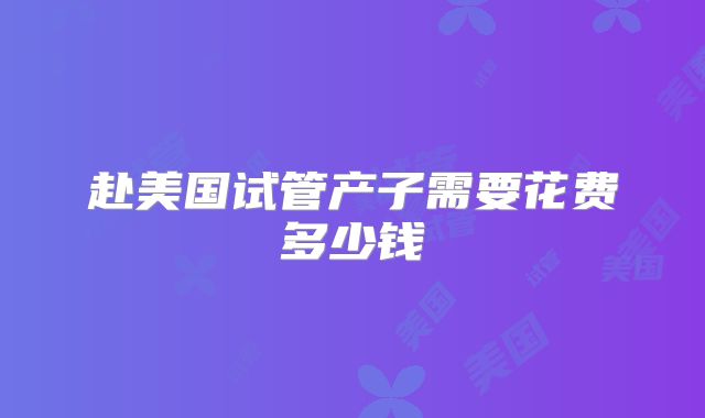 赴美国试管产子需要花费多少钱