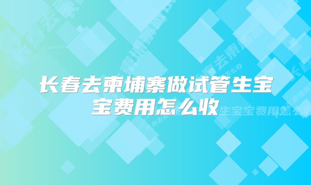 长春去柬埔寨做试管生宝宝费用怎么收