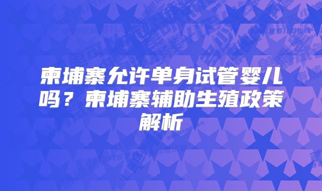 柬埔寨允许单身试管婴儿吗？柬埔寨辅助生殖政策解析