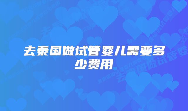 去泰国做试管婴儿需要多少费用