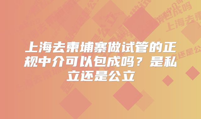 上海去柬埔寨做试管的正规中介可以包成吗？是私立还是公立