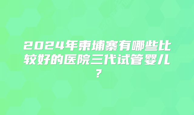 2024年柬埔寨有哪些比较好的医院三代试管婴儿？