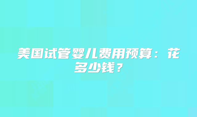 美国试管婴儿费用预算：花多少钱？