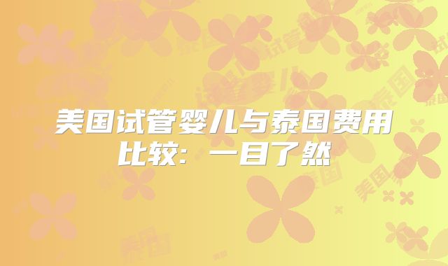 美国试管婴儿与泰国费用比较: 一目了然