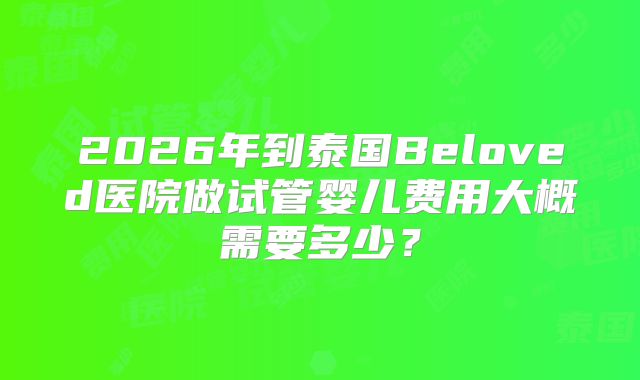 2026年到泰国Beloved医院做试管婴儿费用大概需要多少？